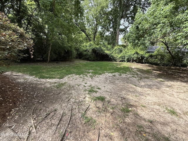 1632 Winchester St, Jackson, MS 39211 - view of yard