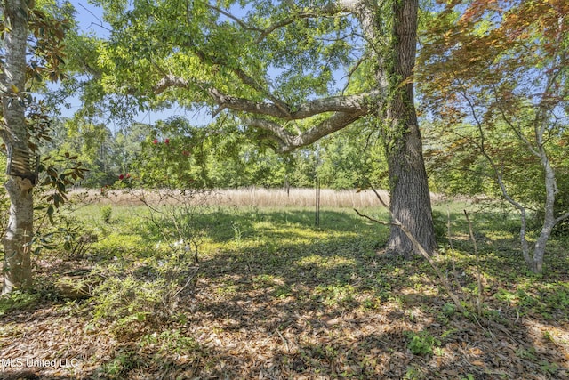 2629 Park View Dr, Biloxi, MS 39531 - view of yard