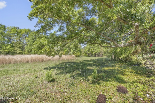 2629 Park View Dr, Biloxi, MS 39531 - view of yard