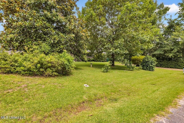 615 Baker St, Wiggins, MS 39577 - view of grassy yard