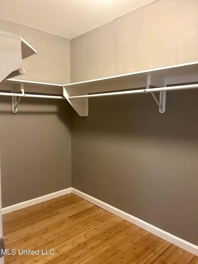 walk in closet featuring wood finished floors