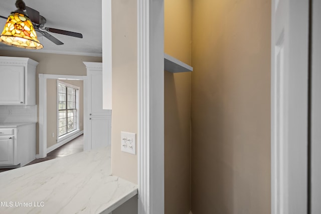 bathroom featuring crown molding, decorative backsplash, and ceiling fan