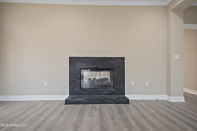 interior details featuring baseboards, wood finished floors, and a high end fireplace