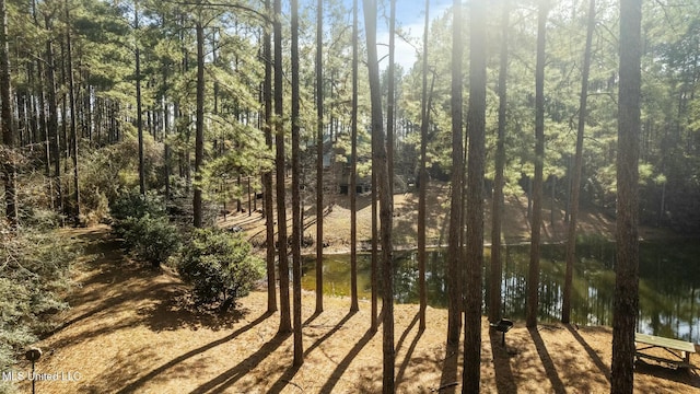 view of nature with a water view