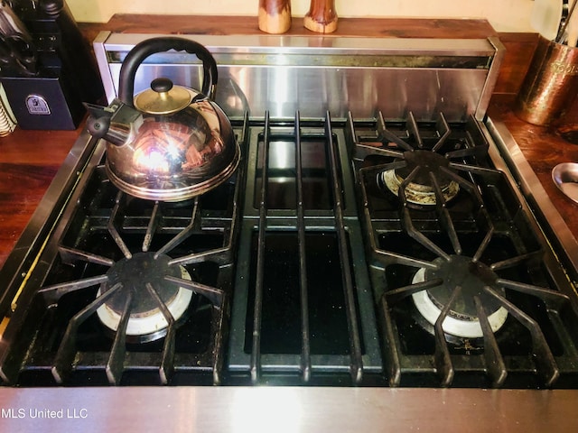 details featuring stainless steel gas range oven
