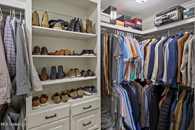 view of spacious closet