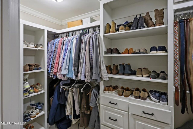 view of spacious closet