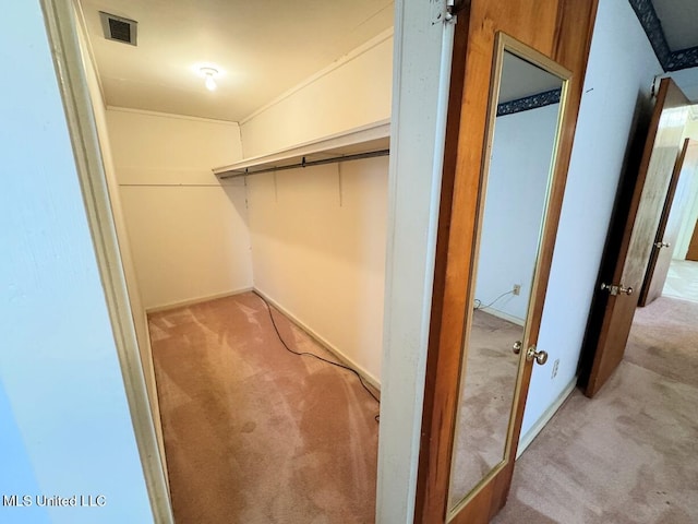 walk in closet featuring carpet and visible vents