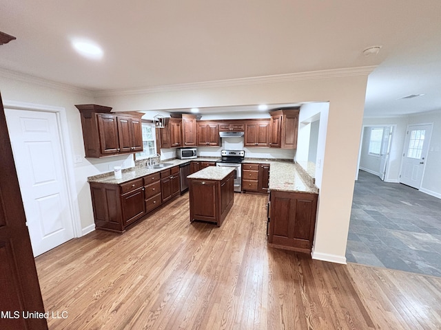 kitchen with crown molding, a sink, light wood finished floors, stainless steel appliances, and a kitchen island