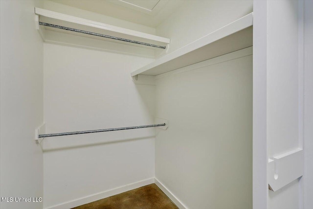437 Henry Byrd Rd, Florence, MS 39073 - view of walk in closet