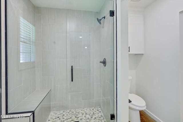 437 Henry Byrd Rd, Florence, MS 39073 - full bathroom featuring a shower stall and toilet