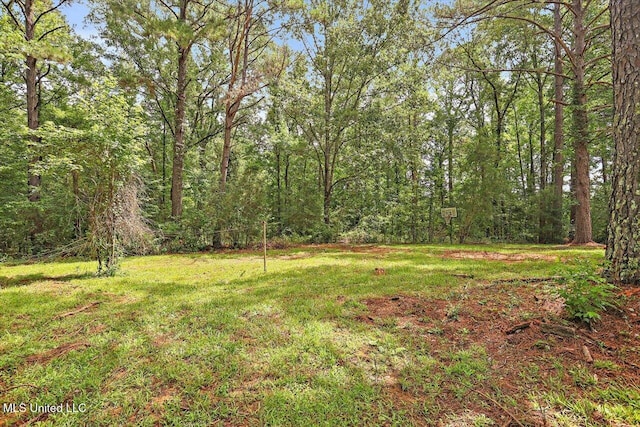 437 Henry Byrd Rd, Florence, MS 39073 - view of green lawn featuring a wooded view