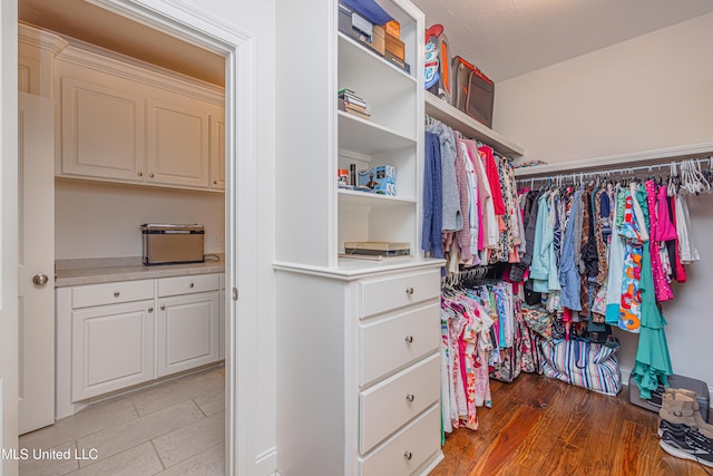 228 Falls Xing, Madison, MS 39110 - view of walk in closet