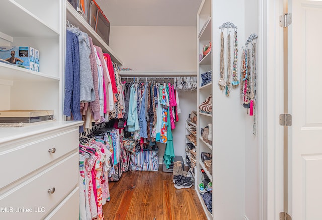 228 Falls Xing, Madison, MS 39110 - spacious closet with wood finished floors