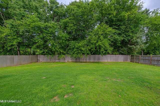 228 Falls Xing, Madison, MS 39110 - view of yard