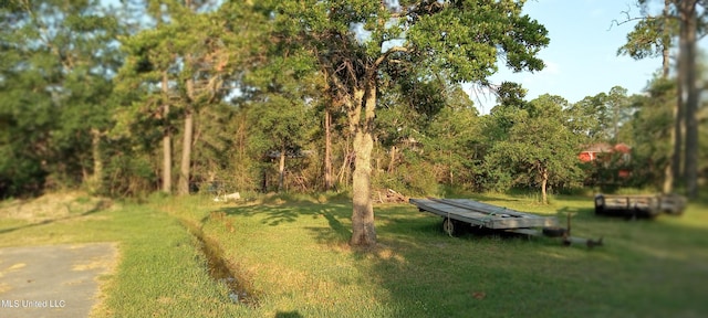 4021 Sailfish St, Bay Saint Louis, MS 39520 - view of grassy yard