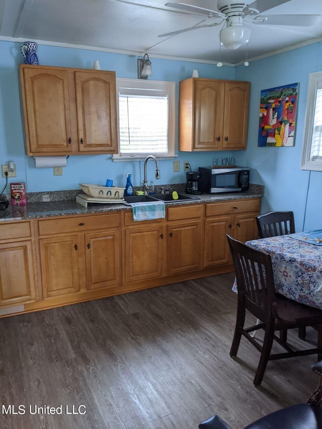 4021 Sailfish St, Bay Saint Louis, MS 39520 - kitchen featuring stainless steel microwave, a ceiling fan, a sink, healthy amount of natural light, and crown molding