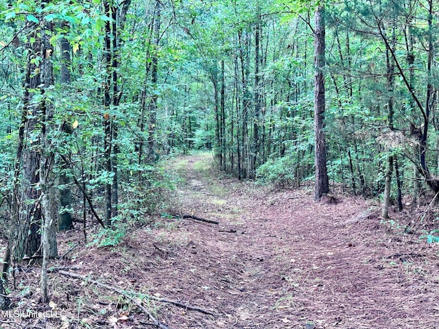 view of local wilderness