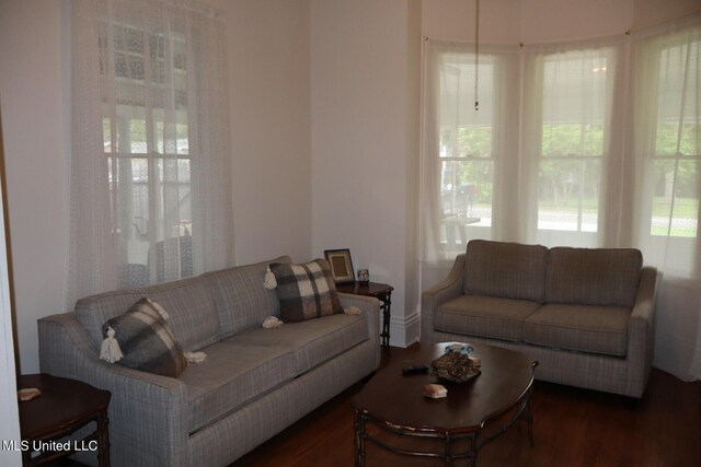 living room featuring dark hardwood / wood-style flooring