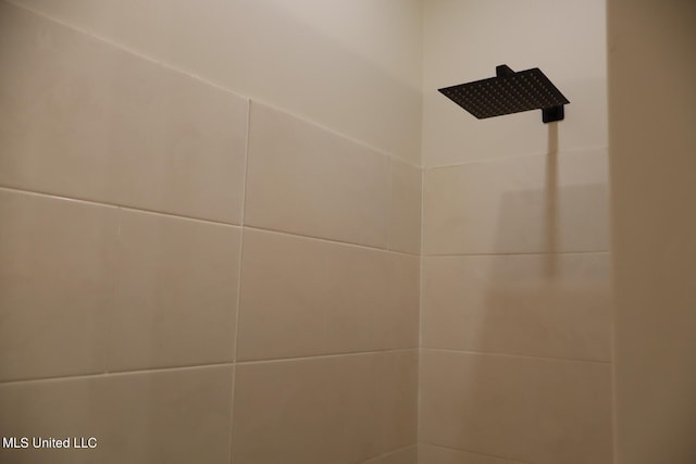 interior details featuring walk in shower