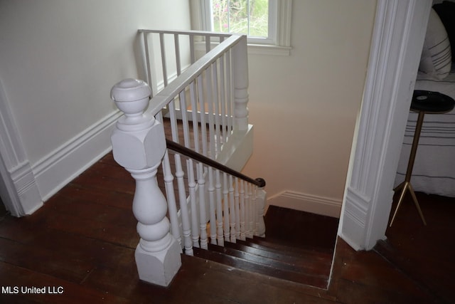 stairway featuring wood-type flooring