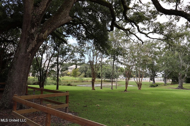 view of community with a yard