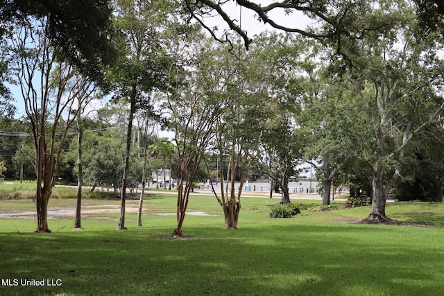 view of community with a lawn