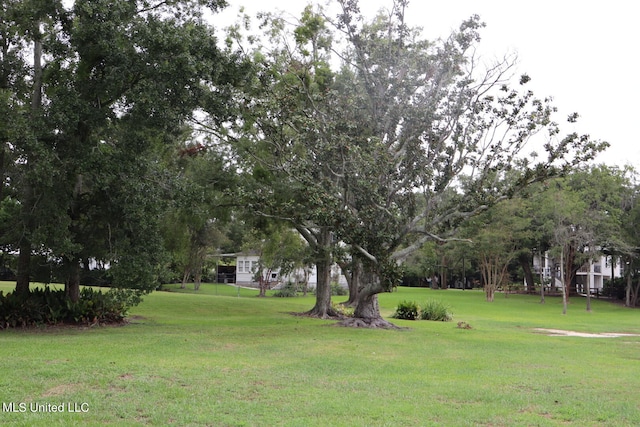 view of community with a yard