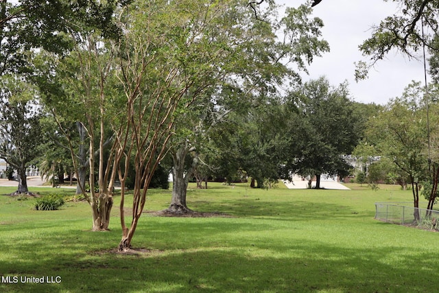 view of home's community with a lawn