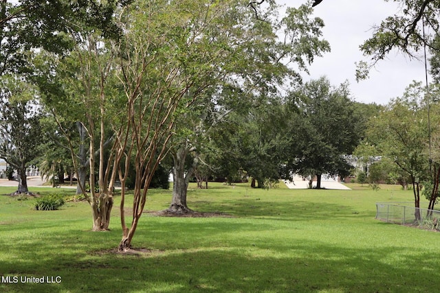 1009 Resca De La Palma St, Pascagoula, MS 39567 - view of yard