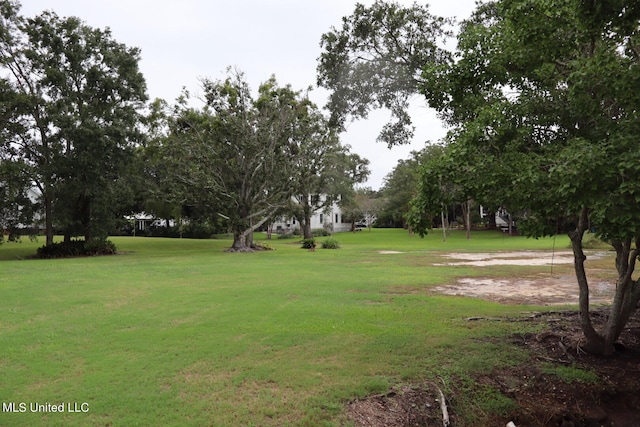 view of community with a yard