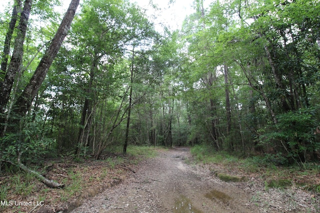 177/-AC Burnis Havard Rd, Perkinston, MS 39573