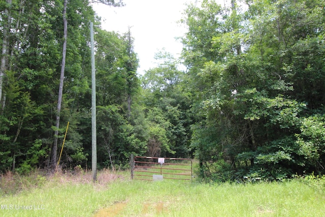 177/-AC Burnis Havard Rd, Perkinston, MS 39573