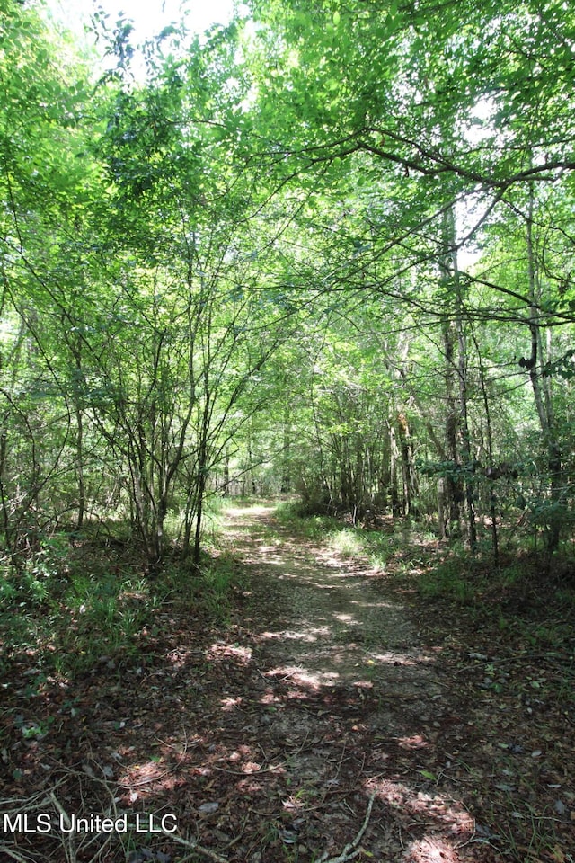 177/-AC Burnis Havard Rd, Perkinston, MS 39573