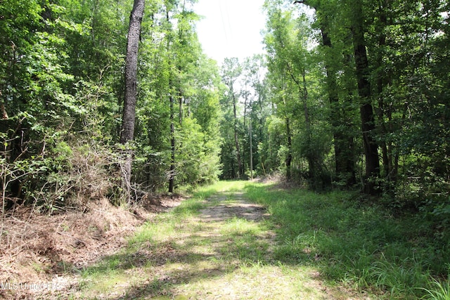 177/-AC Burnis Havard Rd, Perkinston, MS 39573