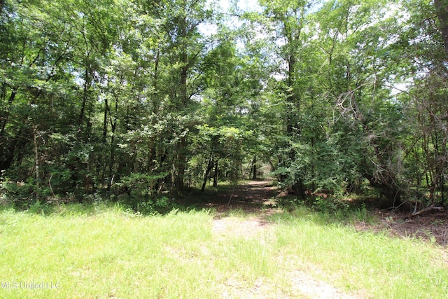 177/-AC Burnis Havard Rd, Perkinston, MS 39573
