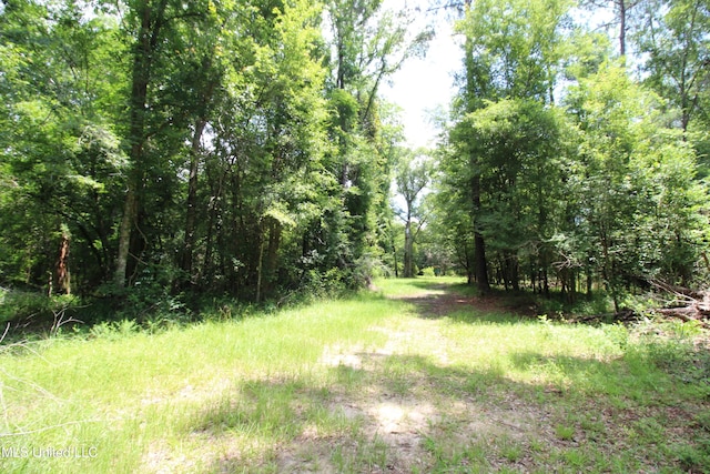 177/-AC Burnis Havard Rd, Perkinston, MS 39573