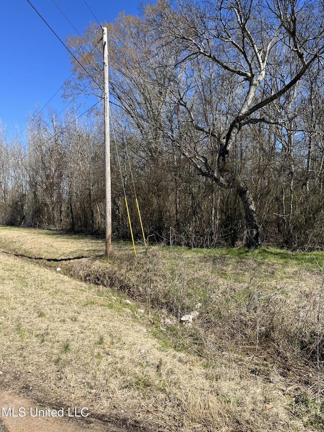 Listing photo 3 for Cobbville Rd, Canton MS 39046