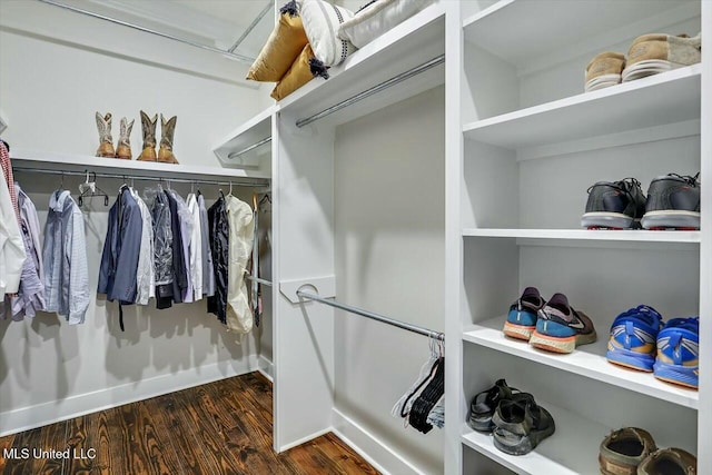 spacious closet with dark hardwood / wood-style floors