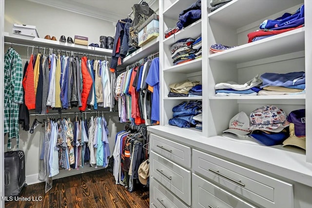 walk in closet featuring dark wood-type flooring