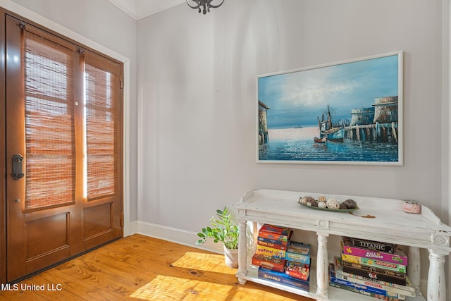 entryway with hardwood / wood-style floors