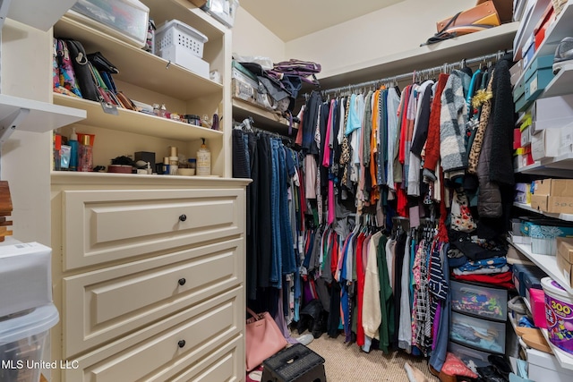 walk in closet with carpet floors