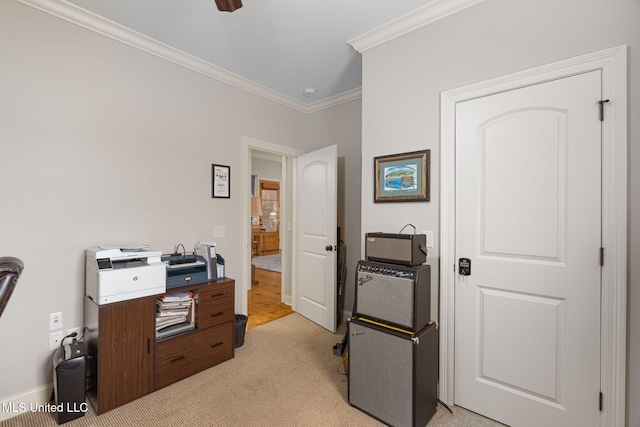 office featuring light colored carpet and ornamental molding