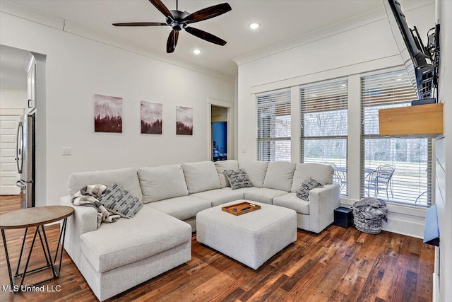 living room with ceiling fan, ornamental molding, and dark wood-type flooring