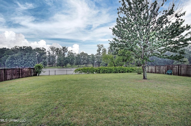135 Mason Way, Madison, MS 39110 - view of yard