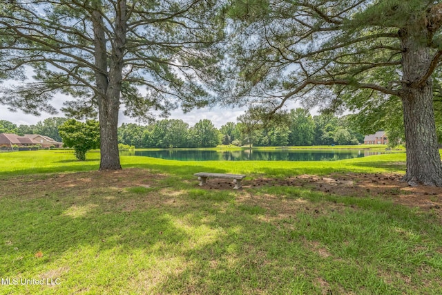 3831 Lake Village Cv, Olive Branch, MS 38654 - view of grassy yard with a water view
