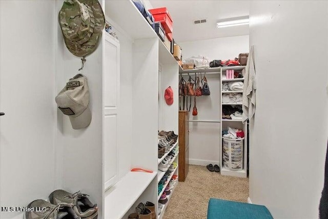 spacious closet featuring light carpet