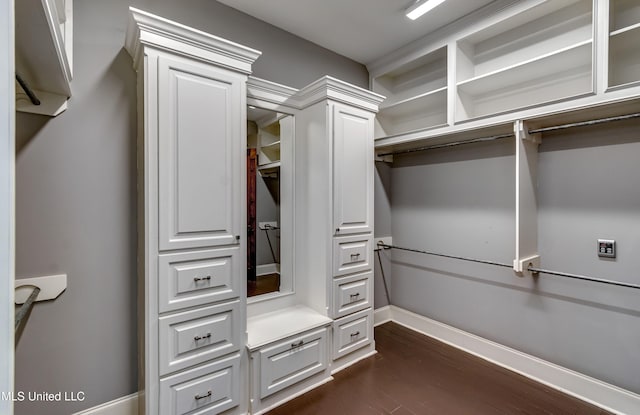 101 Commons Pl, Ridgeland, MS 39157 - spacious closet featuring dark wood finished floors