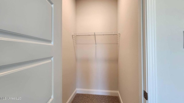 walk in closet featuring carpet floors