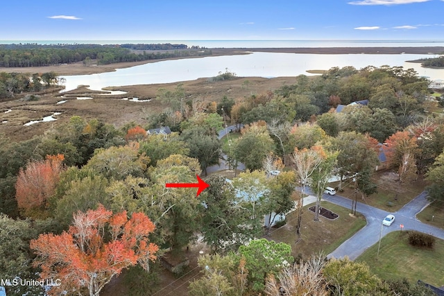 aerial view with a water view